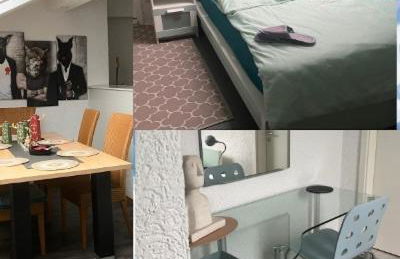 Ü Villa für Freunde 3 Wohneinheiten mit Außenfläche und Grill - Foto 37