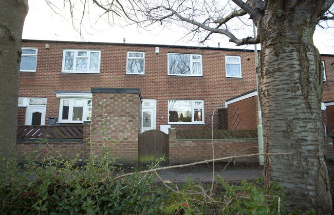 Mega Shelley - Foto 23