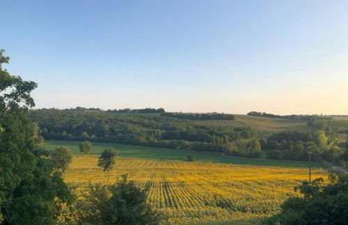 Gîte L'Insouciant - Domaine la Rose des vents - Photo 23