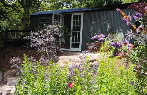 The Owl Hoot - Foto 1