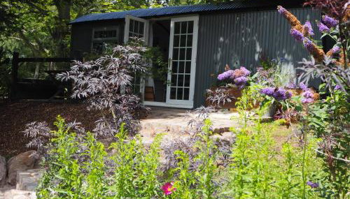 The Owl Hoot - Foto 1