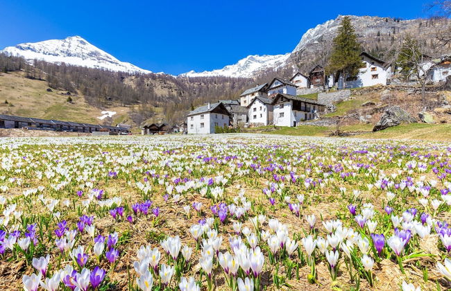 Rustico Al Museo Bosco Gurin - Photo 34