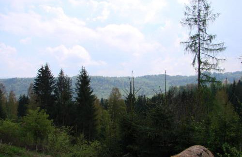 Villa Róża - Foto 26