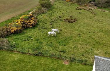 Kilchrist Castle Cottages - Foto 38