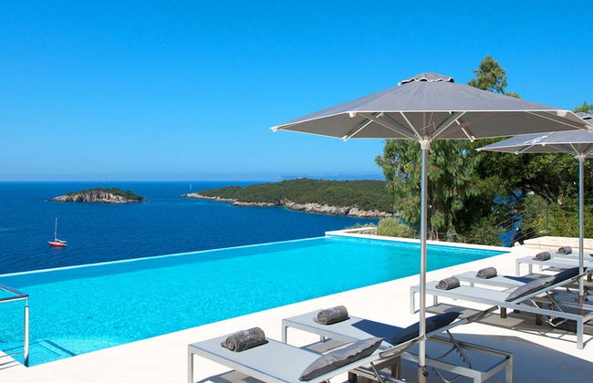 White Orchid Arundina - Photo 8