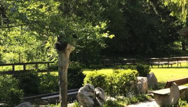 Haus Hochhäusler - Foto 2