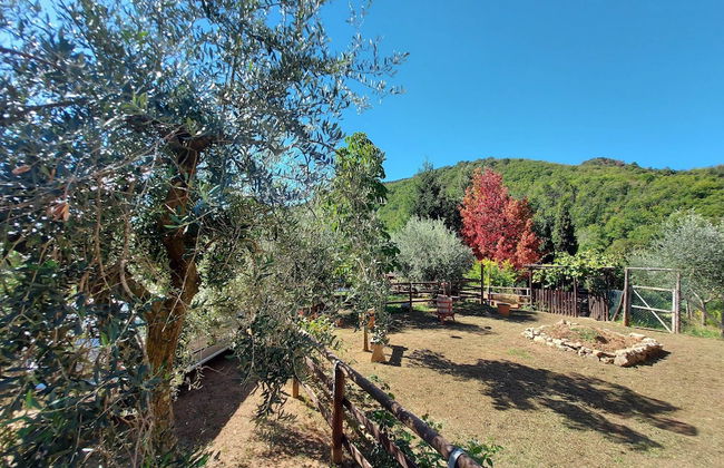 Holiday Home in Tuscany Near Lucca - Foto 40
