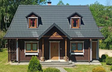 Domki w Bieszczadach - Foto 66