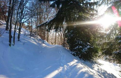 Ruhiges Ferienhaus am Waldrand mit Sauna und Kamin - Hellaberg II - Foto 33