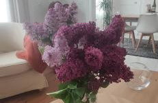 Villa des roses, comme à la maison - Photo 13