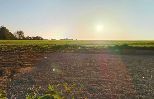 LA CHABEAUDIE - Foto 27