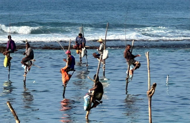 IF Villa in Unawatuna - Photo 4