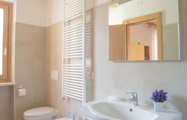 Società Agricola Zucchera S.S. - Foto 6