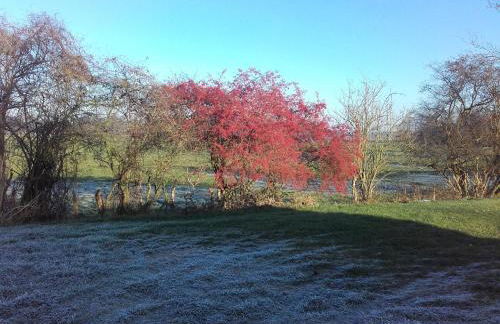 Ferienhäuser im Ferienhausgebiet Hof Beel - Foto 13