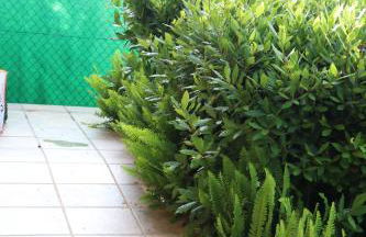 Vixía do Val, "Eclectic" - Foto 57