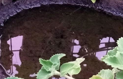 Casa Omaira y Nacho - Foto 67