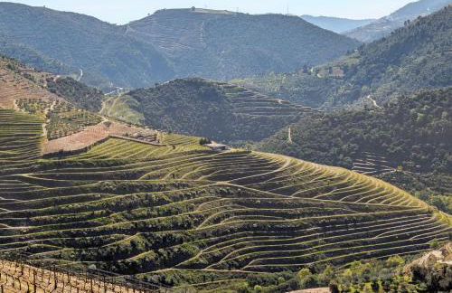 Bela Vista - Foto 20