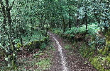 Casa do Porto - Foto 53