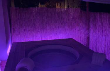 Appartement - St-Jory - Jacuzzi - Proche Toulouse - Foto 5