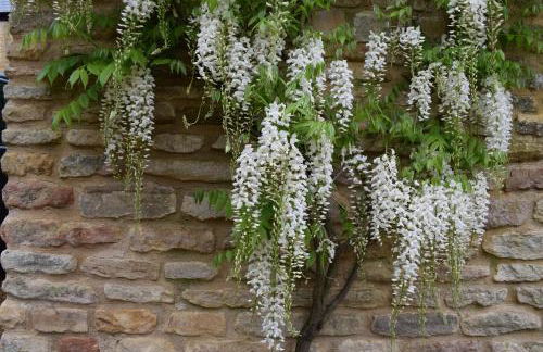 Oundle Bespoke Apartments - Photo 40