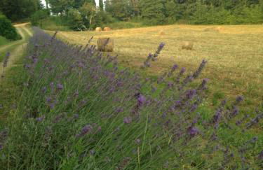Salceta, a Tuscany Country House - Photo 25