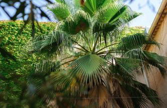 Grande maison Art Nouveau entre mer & garrigue, charme et loisirs au cœur du Sud - Foto 61