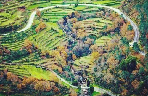 Casas da Li - Foto 14