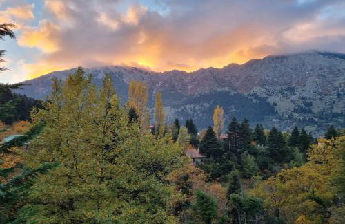 Pinecone Lodge, Eptalofos Wellness Garden Chalet - Foto 73