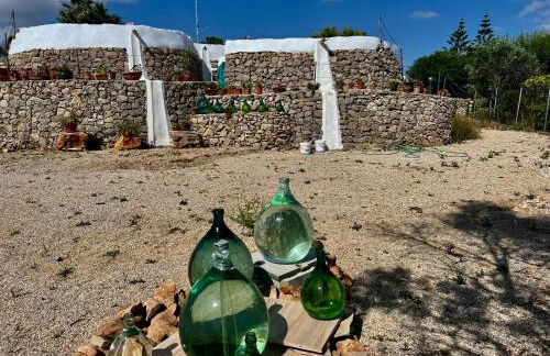 Trulli delle succulente - Foto 23