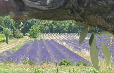 Gîtes du Château d'Alençon - Photo 12
