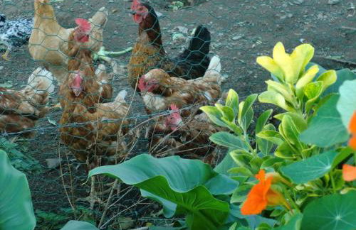 Arriola Txiki - Photo 70