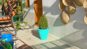 Pousada Monte das Serras - Foto 3