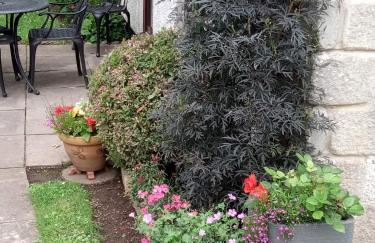 Tolpedn Cottage - Photo 4