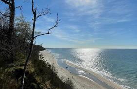 Greyówka dom kryty strzechą w Gardna Park - Foto 30