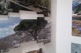 La Covatilla III - Foto 22