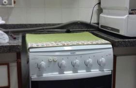 Teresopolis Duplex Green Valley - Photo 35