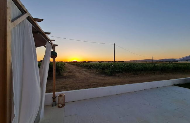 Herdade das Castas Nobres - Photo 49