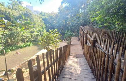 Vista Piscinas - Park Veredas 417 - Foto 66