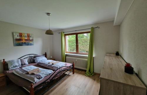 Ferienwohnung Seeblick Nr 1 ,Feldberg Bärental - Foto 8