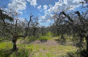 Country house in Maremma Villa Mafalda - Foto 15