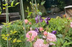 Tanvally Stud - Foto 24