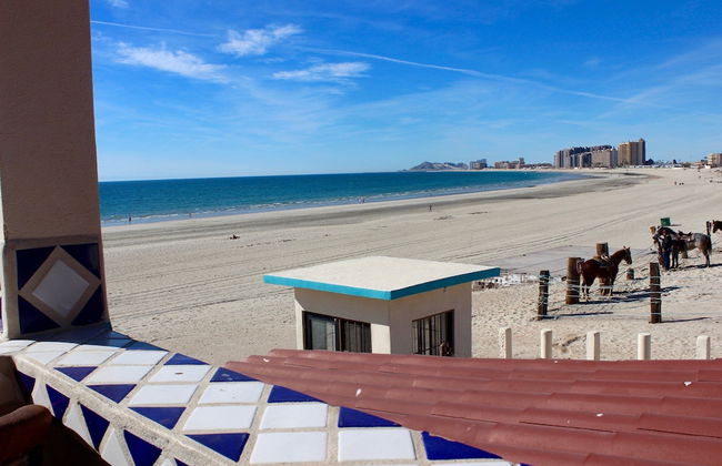 Mid-century Ocean View Apartment - Photo 26