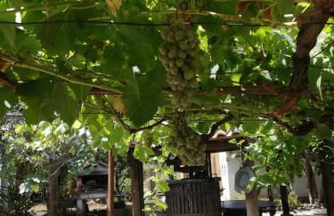 L' Agrumeto - Photo 24