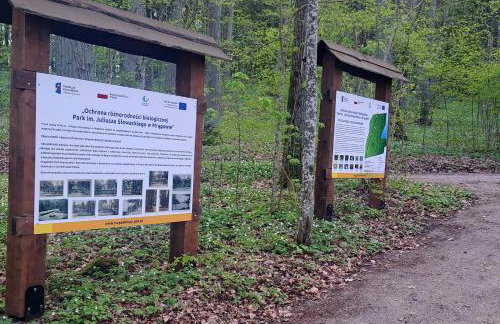 Domki Na Wzgórzu - domek nr 1 - Foto 24