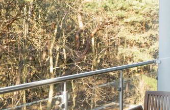 Dariusz Apartament PREMIUM Jurata z garażem - Foto 21