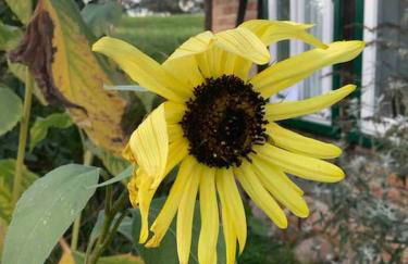 Haus am Fluss und See - Foto 25