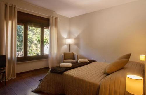 Petit Castanyer - Photo 11