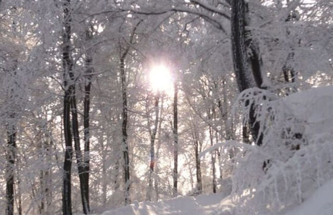 Holiday Home Waterfall - Foto 21