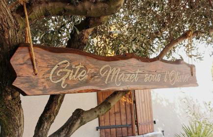 Les Gîtes sous l' Olivier en Camargue - Photo 54