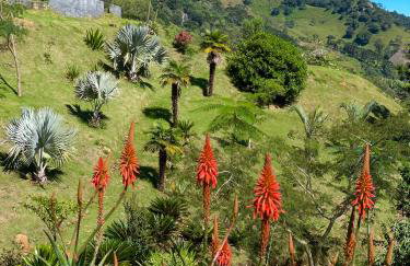 Rancho do Paioleiro - Foto 11